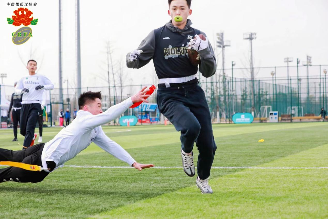 5679254aa78d49ceb19fb8d3a20113e4.png 5679254aa78d49ceb19fb8d3a20113e4.png